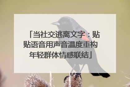 当社交逃离文字：贴贴语音用声音温度重构年轻群体情感联结