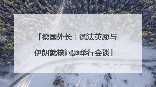 德国外长：德法英愿与伊朗就核问题举行会谈