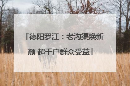 德阳罗江：老沟渠焕新颜 超千户群众受益
