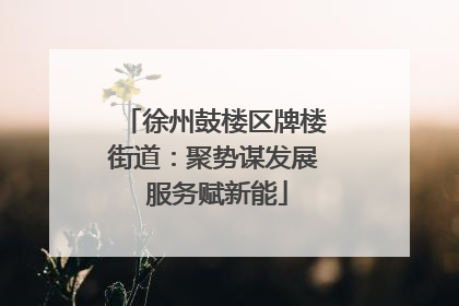 徐州鼓楼区牌楼街道：聚势谋发展 服务赋新能