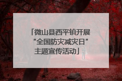 微山县西平镇开展“全国防灾减灾日”主题宣传活动