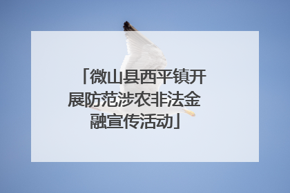 微山县西平镇开展防范涉农非法金融宣传活动