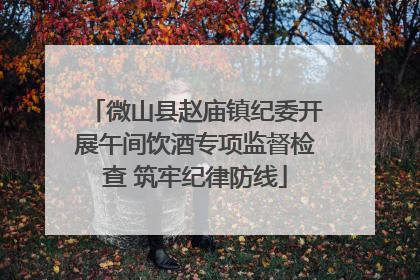 微山县赵庙镇纪委开展午间饮酒专项监督检查 筑牢纪律防线