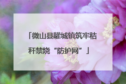微山县驩城镇筑牢秸秆禁烧“防护网”