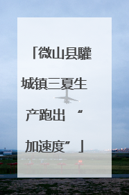 微山县驩城镇三夏生产跑出 “加速度”