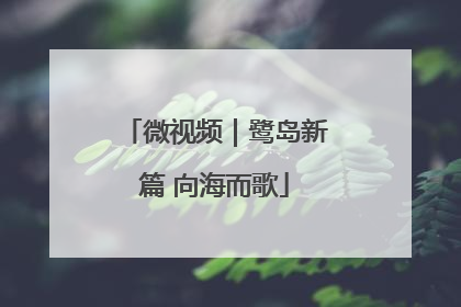 微视频｜鹭岛新篇 向海而歌
