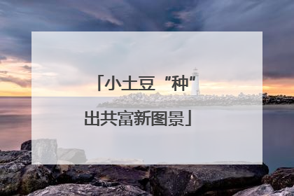 小土豆“种”出共富新图景