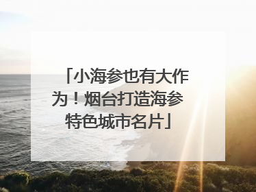 小海参也有大作为！烟台打造海参特色城市名片