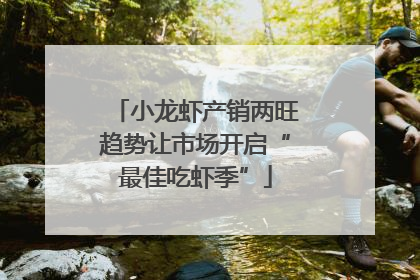小龙虾产销两旺趋势让市场开启“最佳吃虾季”