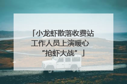 小龙虾散落收费站 工作人员上演暖心“抢虾大战”
