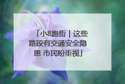小8跑街｜这些路段有交通安全隐患 市民盼重视