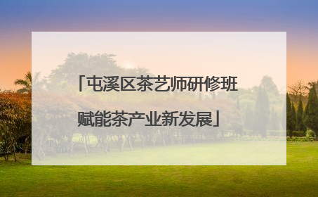 屯溪区茶艺师研修班赋能茶产业新发展