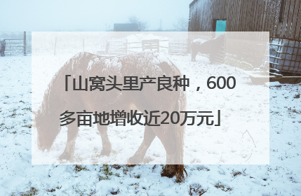 山窝头里产良种，600多亩地增收近20万元