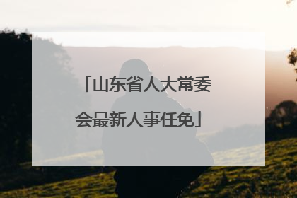 山东省人大常委会最新人事任免