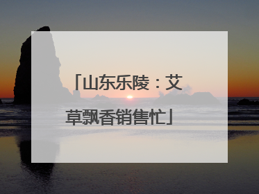 山东乐陵：艾草飘香销售忙