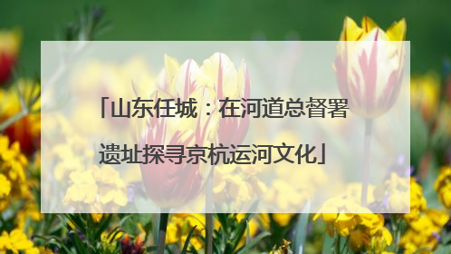 山东任城：在河道总督署遗址探寻京杭运河文化