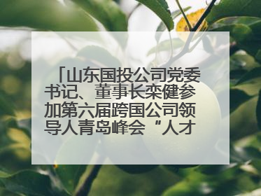 山东国投公司党委书记、董事长栾健参加第六届跨国公司领导人青岛峰会“人才引领 创新驱动”人力资源高质量发展对话会