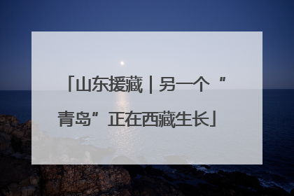 山东援藏｜另一个“青岛”正在西藏生长