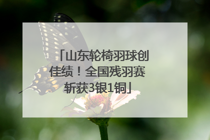 山东轮椅羽球创佳绩！全国残羽赛斩获3银1铜