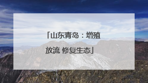 山东青岛：增殖放流 修复生态