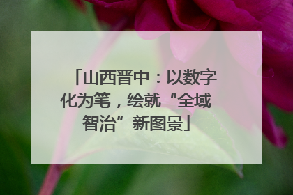 山西晋中：以数字化为笔，绘就“全域智治”新图景