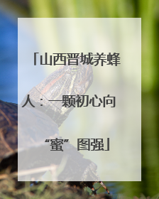 山西晋城养蜂人：一颗初心向“蜜”图强