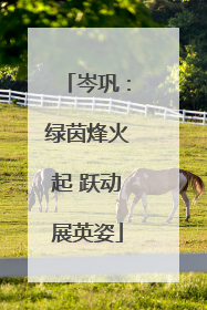 岑巩：绿茵烽火起 跃动展英姿