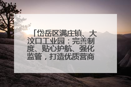 岱岳区满庄镇、大汶口工业园：完善制度、贴心护航、强化监管，打造优质营商“强磁场”