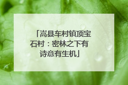 嵩县车村镇顶宝石村：密林之下有诗意有生机