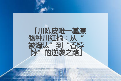 川陈皮唯一基源物种川红橘：从“被淘汰”到“香饽饽”的逆袭之路