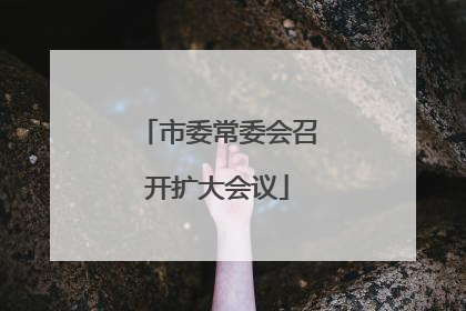 市委常委会召开扩大会议