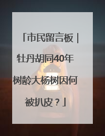 市民留言板｜牡丹胡同40年树龄大杨树因何被扒皮？