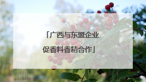 广西与东盟企业促香料香精合作