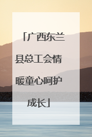 广西东兰县总工会情暖童心呵护成长