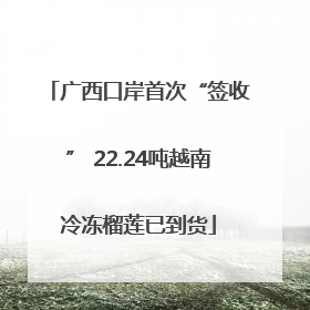 广西口岸首次“签收” 22.24吨越南冷冻榴莲已到货