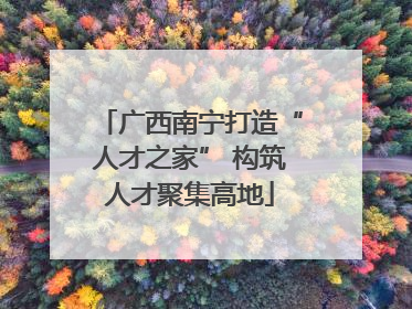 广西南宁打造“人才之家” 构筑人才聚集高地