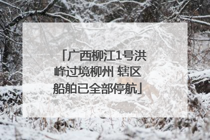 广西柳江1号洪峰过境柳州 辖区船舶已全部停航