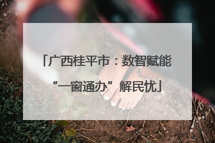 广西桂平市：数智赋能“一窗通办”解民忧