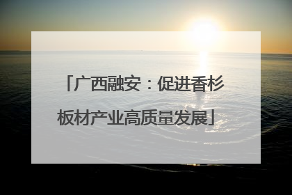 广西融安：促进香杉板材产业高质量发展