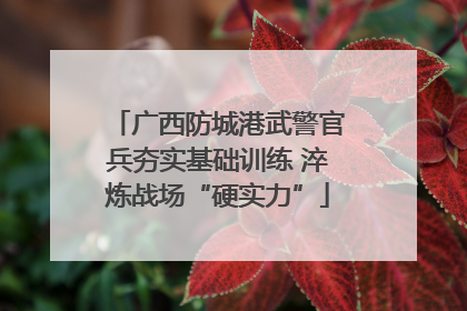 广西防城港武警官兵夯实基础训练 淬炼战场“硬实力”