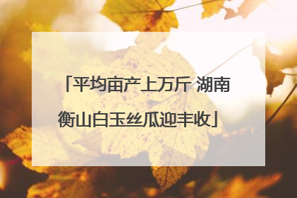 平均亩产上万斤 湖南衡山白玉丝瓜迎丰收