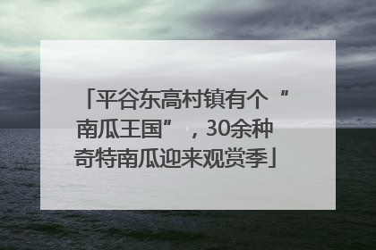 平谷东高村镇有个“南瓜王国”，30余种奇特南瓜迎来观赏季