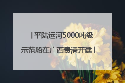 平陆运河5000吨级示范船在广西贵港开建