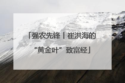 强农先锋丨崔洪海的“黄金叶”致富经