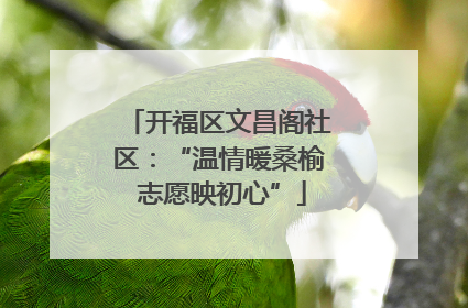 开福区文昌阁社区：“温情暖桑榆 志愿映初心”
