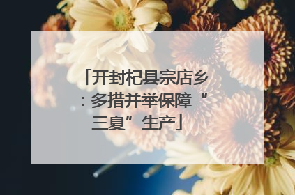 开封杞县宗店乡：多措并举保障“三夏”生产