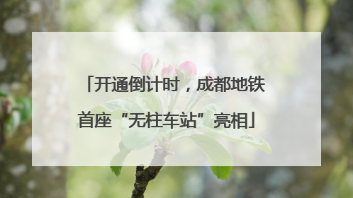 开通倒计时，成都地铁首座“无柱车站”亮相