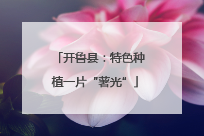开鲁县：特色种植一片“薯光”