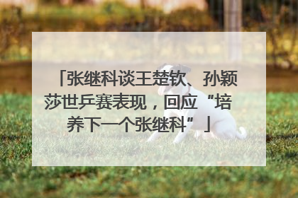 张继科谈王楚钦、孙颖莎世乒赛表现，回应“培养下一个张继科”