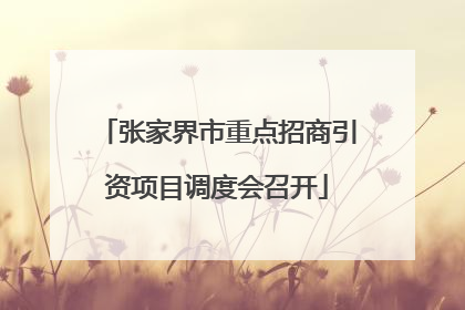 张家界市重点招商引资项目调度会召开